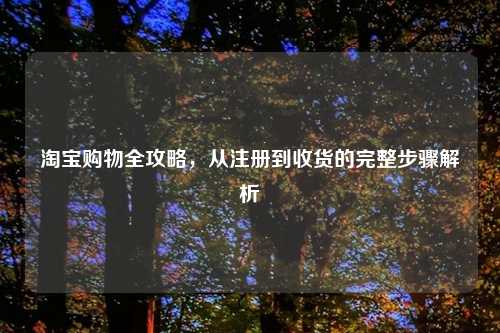淘宝购物全攻略，从注册到收货的完整步骤解析