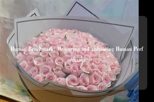 Human Benchmark: Measuring and Enhancing Human Performance