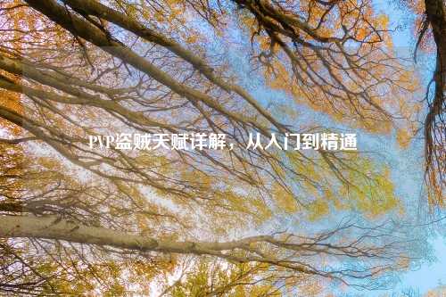 PVP盗贼天赋详解，从入门到精通