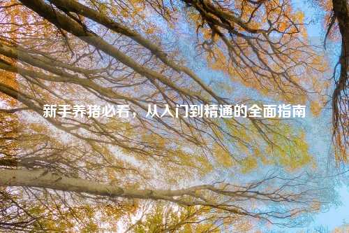 新手养猪必看，从入门到精通的全面指南