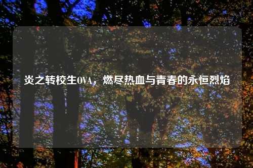 炎之转校生OVA，燃尽热血与青春的永恒烈焰