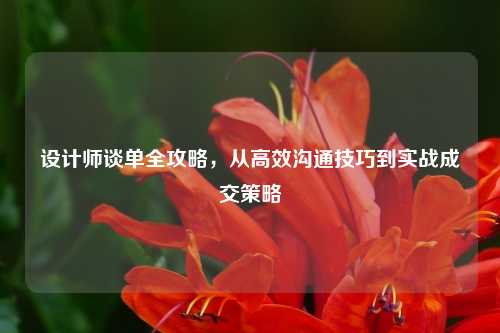 设计师谈单全攻略，从高效沟通技巧到实战成交策略