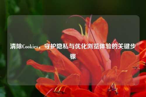 清除Cookies，守护隐私与优化浏览体验的关键步骤