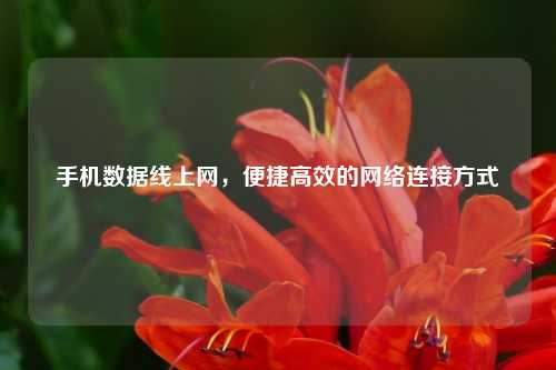 手机数据线上网，便捷高效的网络连接方式