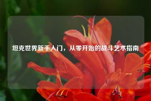 坦克世界新手入门，从零开始的战斗艺术指南