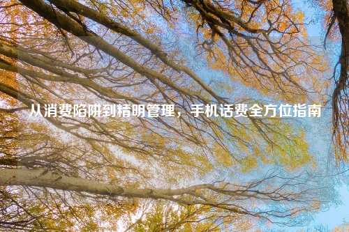 从消费陷阱到精明管理，手机话费全方位指南