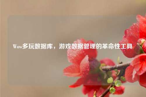 Wow多玩数据库,游戏数据管理的革命性工具