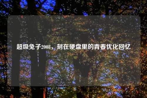 超级兔子2008,刻在硬盘里的青春优化回忆