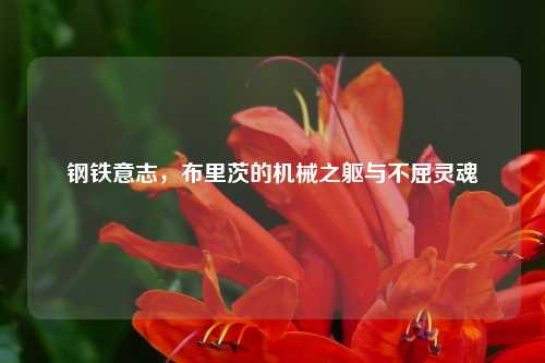 钢铁意志，布里茨的机械之躯与不屈灵魂