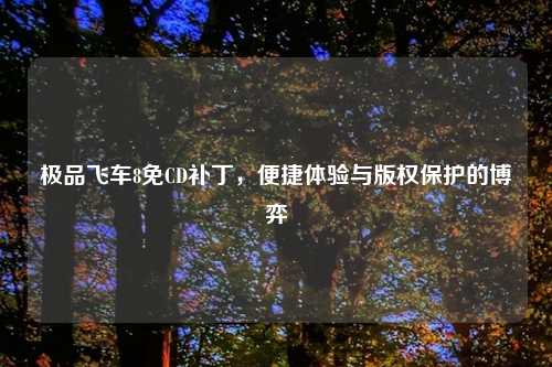 极品飞车8免CD补丁，便捷体验与版权保护的博弈