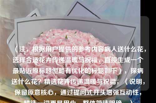 （注，根据用户提供的参考内容病人送什么花，选择合适花卉传递温暖与祝福，直接生成一个最贴近原标题但略有优化的标题如下），探病送什么花？精选花卉传递温暖与祝福，（说明，保留原意核心，通过提问式开头增强互动性，精选一词更显用心，整体简洁明确。）