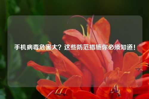 手机病毒危害大？这些防范措施你必须知道！