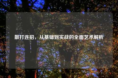 散打连招，从基础到实战的全面艺术解析