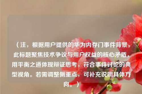 (注,根据用户提供的华为内存门事件背景,此标题聚焦技术争议与用户权益的核心矛盾,用平衡之道体现辩证思考,符合事件讨论的典型视角。若需调整侧重点,可补充说明具体方向。)