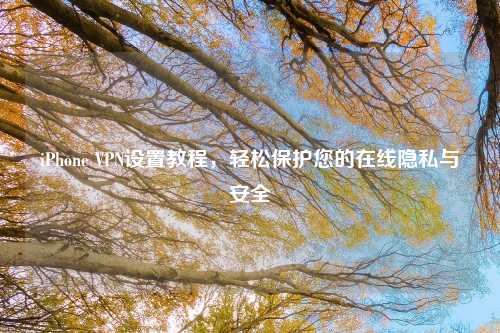 iPhone VPN设置教程，轻松保护您的在线隐私与安全