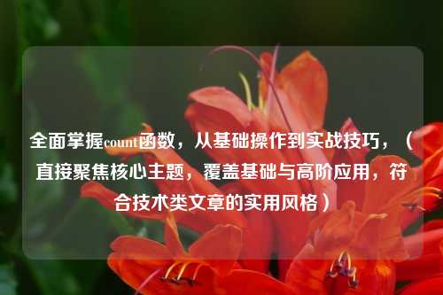 全面掌握count函数，从基础操作到实战技巧，（直接聚焦核心主题，覆盖基础与高阶应用，符合技术类文章的实用风格）