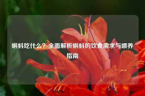蝌蚪吃什么？全面解析蝌蚪的饮食需求与喂养指南
