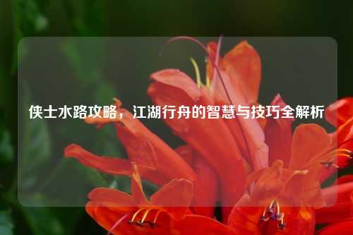 侠士水路攻略，江湖行舟的智慧与技巧全解析