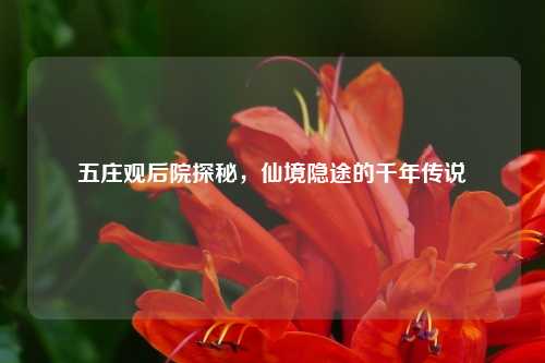 五庄观后院探秘，仙境隐途的千年传说