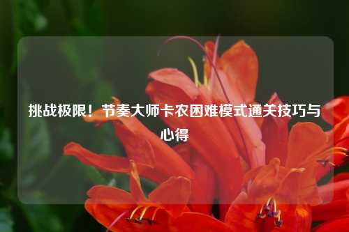挑战极限!节奏大师卡农困难模式通关技巧与心得