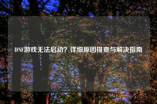 DNF游戏无法启动？详细原因排查与解决指南
