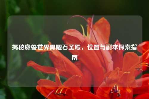 揭秘魔兽世界黑曜石圣殿，位置与副本探索指南