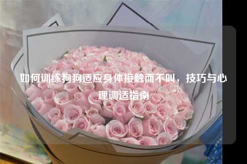 如何训练狗狗适应身体接触而不叫,技巧与心理调适指南