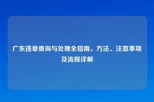 广东违章查询与处理全指南，方法、注意事项及流程详解