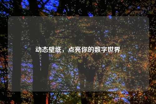 动态壁纸，点亮你的数字世界