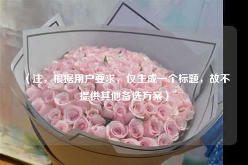 （注，根据用户要求，仅生成一个标题，故不提供其他备选方案）