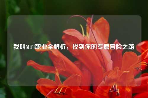 我叫MT4职业全解析，找到你的专属冒险之路