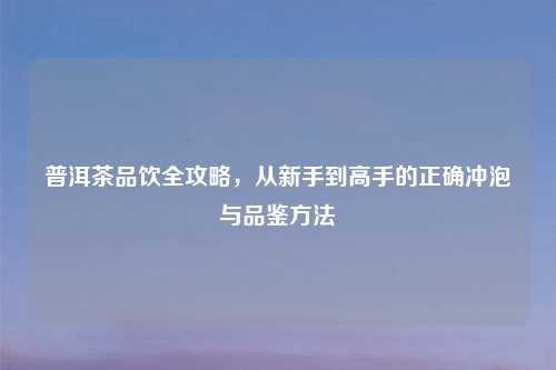 普洱茶品饮全攻略，从新手到高手的正确冲泡与品鉴方法