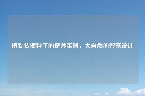 植物传播种子的奇妙策略,大自然的智慧设计