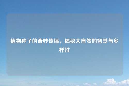 植物种子的奇妙传播,揭秘大自然的智慧与多样性