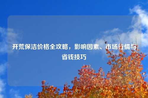 开荒保洁价格全攻略,影响因素、市场行情与省钱技巧