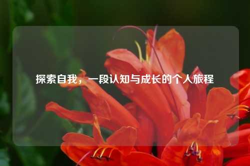 探索自我，一段认知与成长的个人旅程