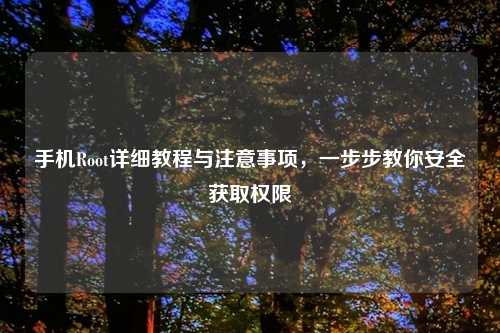 手机Root详细教程与注意事项，一步步教你安全获取权限