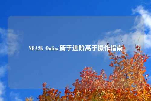 NBA2K Online新手进阶高手操作指南