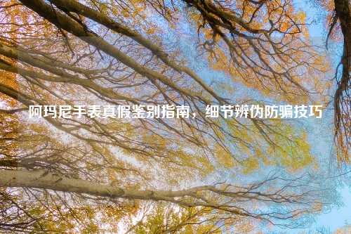 阿玛尼手表真假鉴别指南,细节辨伪防骗技巧