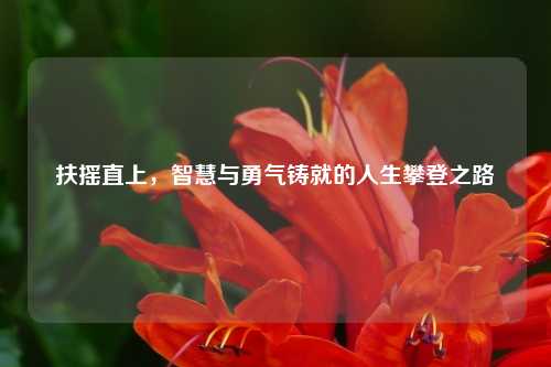 扶摇直上，智慧与勇气铸就的人生攀登之路