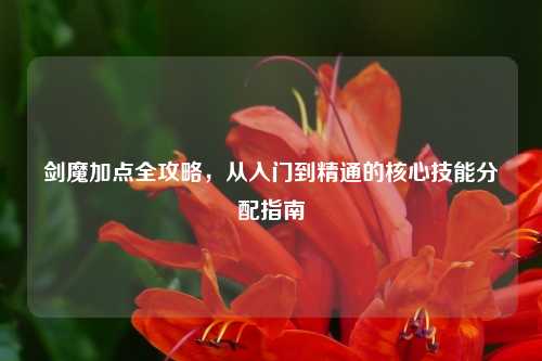 剑魔加点全攻略，从入门到精通的核心技能分配指南