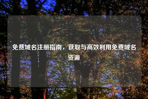 免费域名注册指南，获取与高效利用免费域名资源