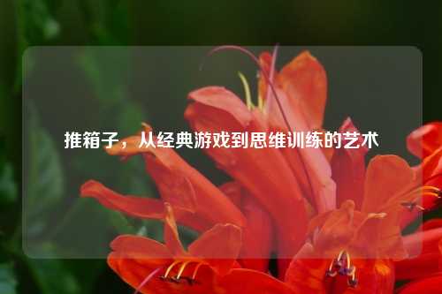 推箱子，从经典游戏到思维训练的艺术