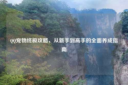 QQ宠物终极攻略，从新手到高手的全面养成指南