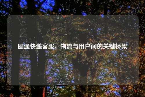 圆通快递客服,物流与用户间的关键桥梁