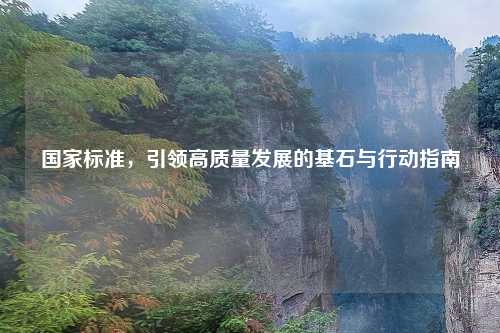 国家标准,引领高质量发展的基石与行动指南