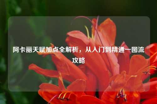 阿卡丽天赋加点全解析，从入门到精通一图流攻略