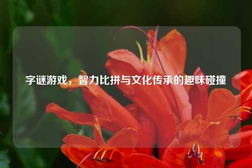 字谜游戏，智力比拼与文化传承的趣味碰撞