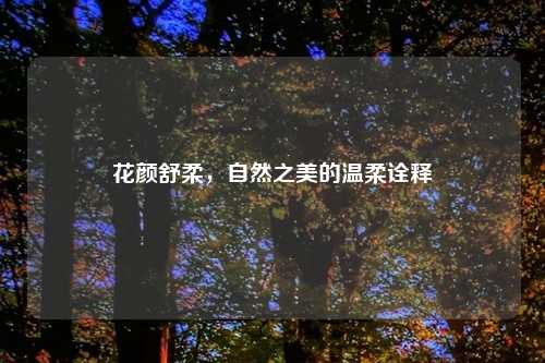 花颜舒柔,自然之美的温柔诠释