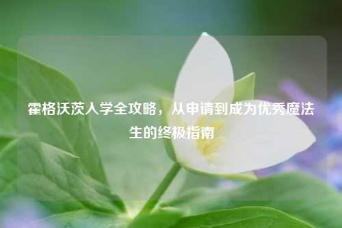 霍格沃茨入学全攻略，从申请到成为优秀魔法生的终极指南